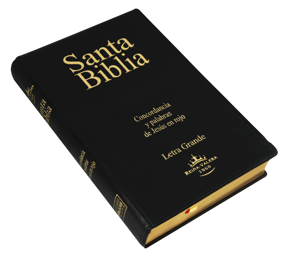 Biblia Reina Valera 1960 Letra Grande Pjr Concordancia Negro
