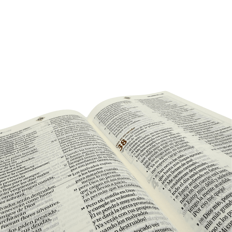 Biblia Para La Familia Tapa Dura Traducción Lenguaje Actual