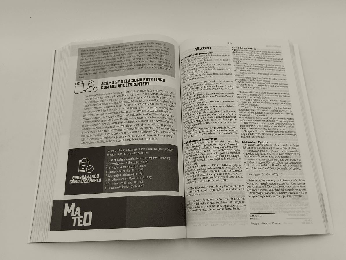 Biblia Para Líderes De Adolescentes - Nueva Biblia Viva - E625