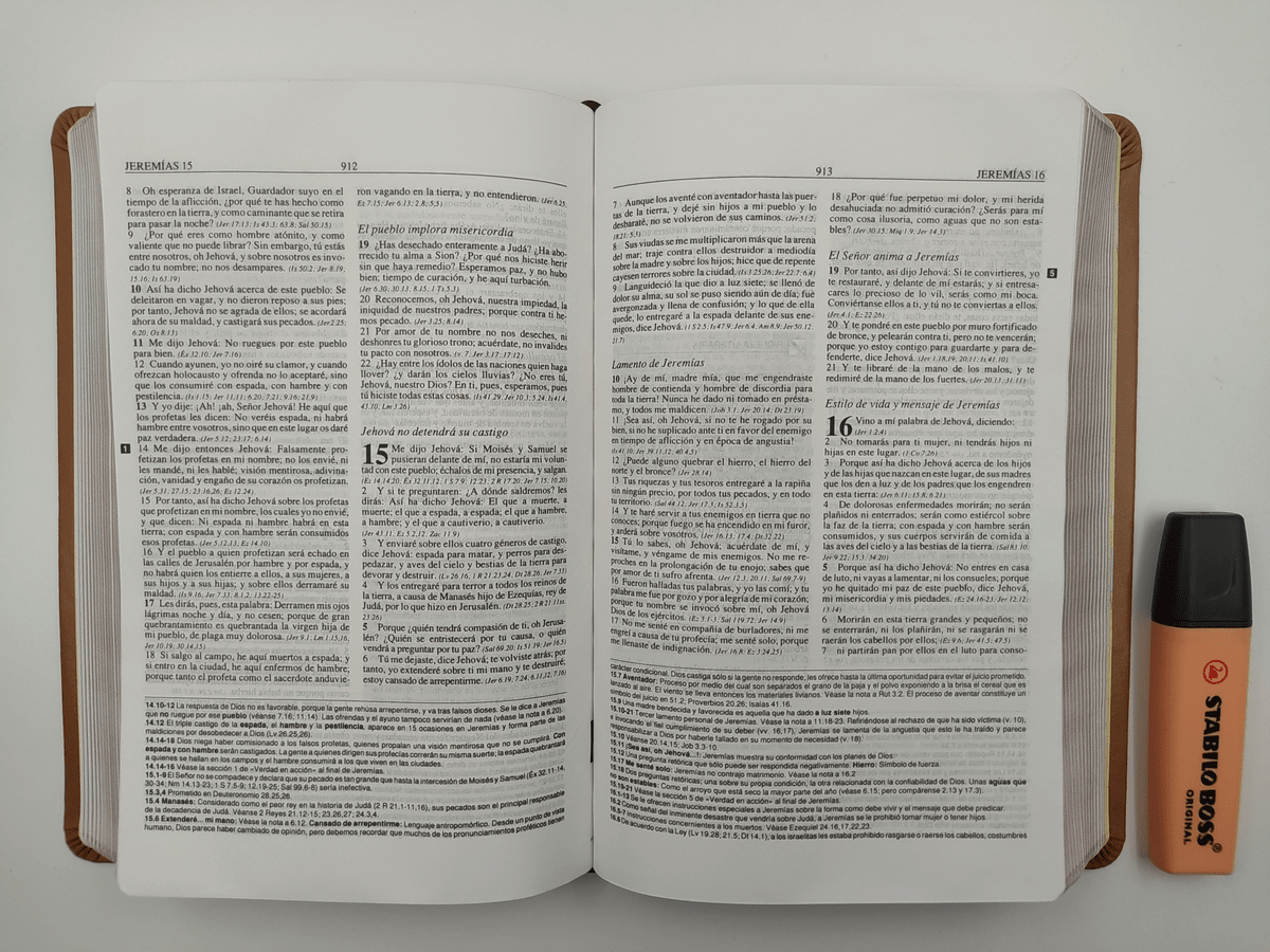 Biblia De Estudio Plenitud Manual Terracota