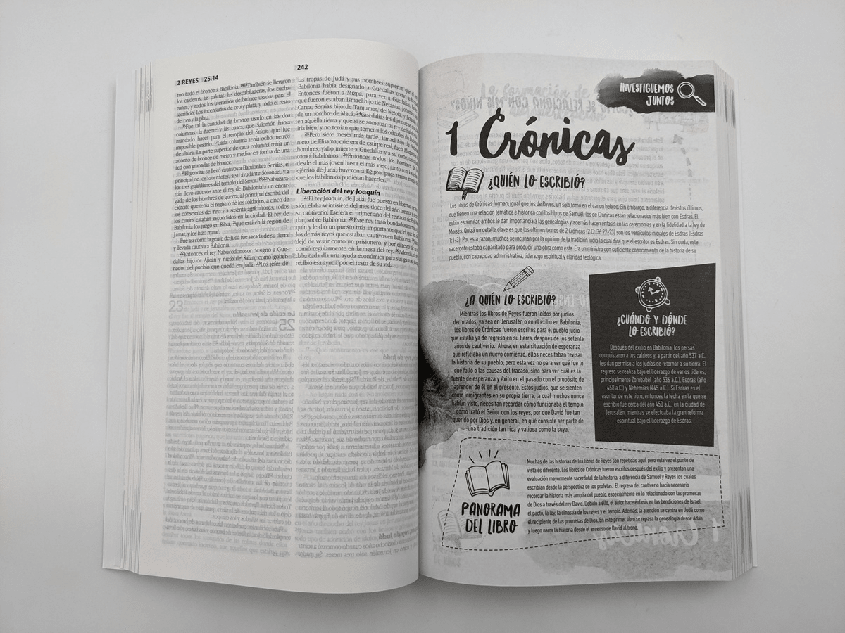 Biblia Para Maestros De Niños Nueva Biblia Viva