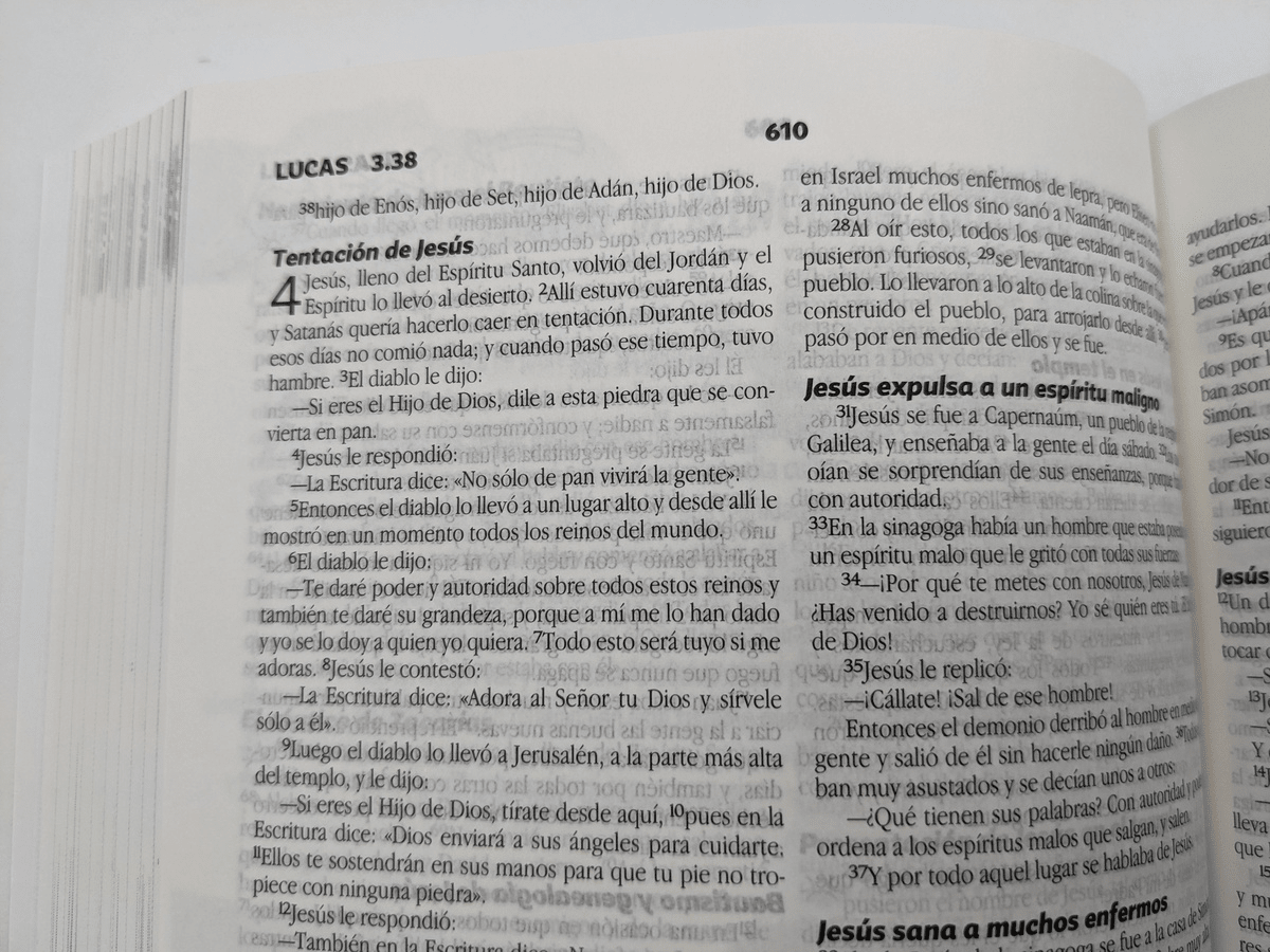 Biblia Para Maestros De Niños Nueva Biblia Viva
