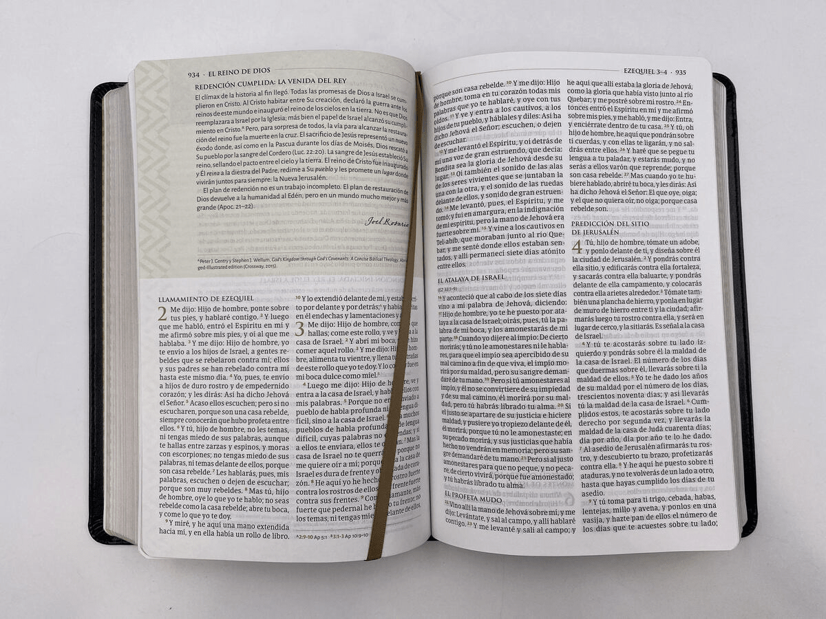 Biblia Reina Valera 1960 De Estudio Tematica Negro Simil Piel B&H - Lifeway