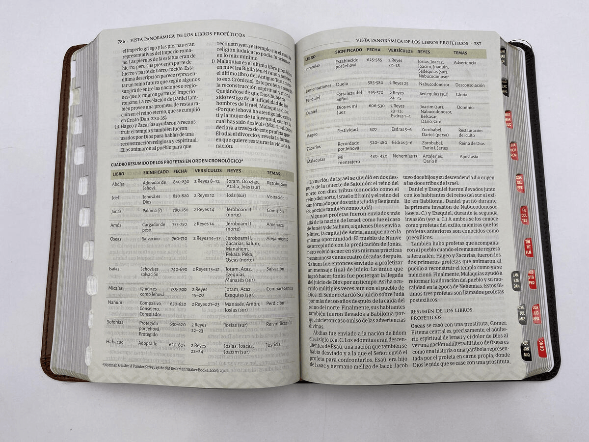 Biblia Reina Valera 1960 de Estudio Tematica Marron Oscuro/Marron Piel Fabricada Con Indice B&H - Lifeway