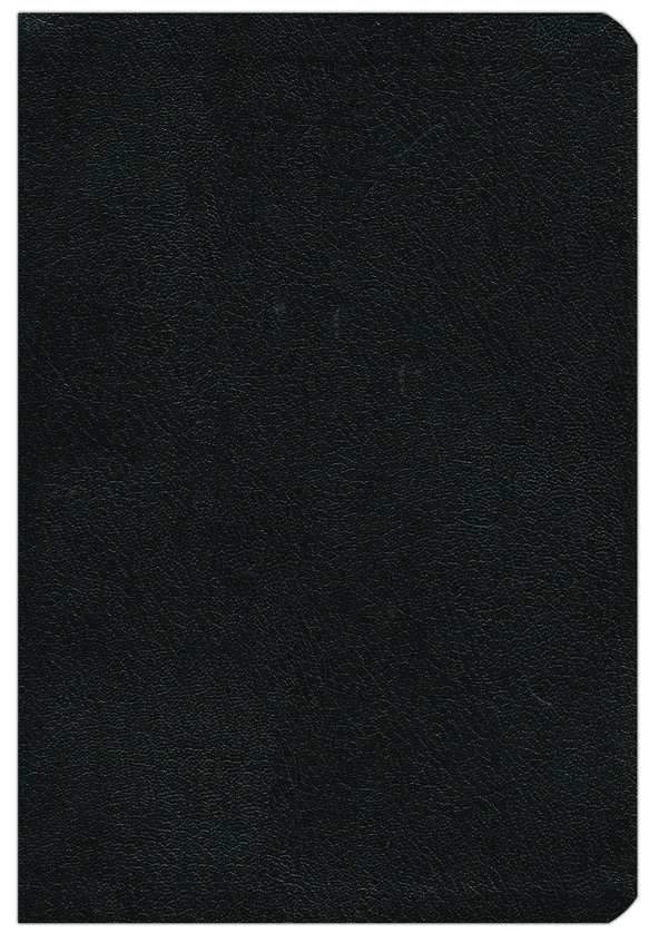 Biblia Reina-Valera 1960, Palabras De Jesús En Rojo, Letra 12 Pt, 16×24, Tapa PU