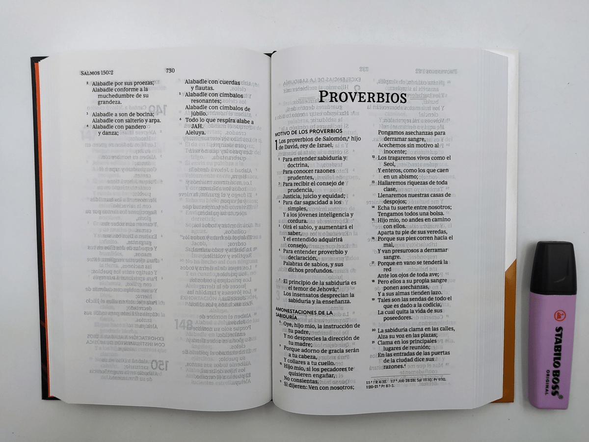 Biblia Reina-Valera 1960, Letra 10 Pt, 14×22, Tapa Dura, La Cruz