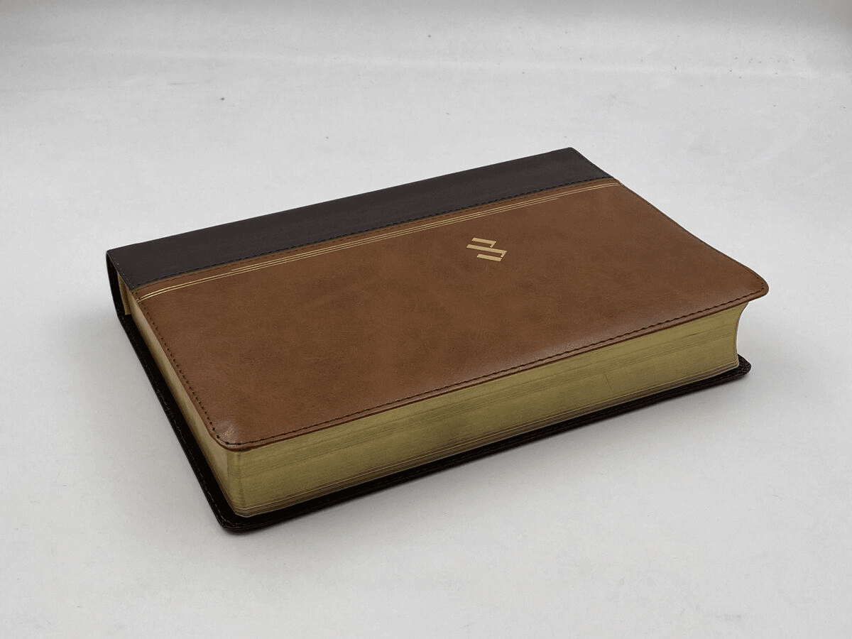 Biblia Reina Valera 1960 De Estudio Temática Marron Oscuro/Marron Piel Fabricada B&H - Lifeway