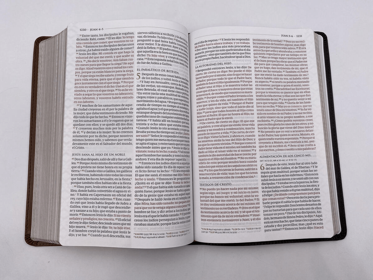 Biblia Reina Valera 1960 De Estudio Temática Marron Oscuro/Marron Piel Fabricada B&H - Lifeway
