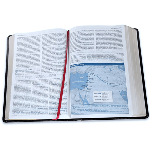 Biblia Nueva Biblia De Las Américas (NBLA) De Estudio MacArthur, Letra 11 Pt, 20×29, Tapa PU, Negro