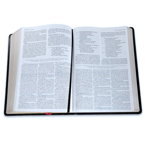 Biblia Nueva Biblia De Las Américas (NBLA) De Estudio MacArthur, Letra 11 Pt, 20×29, Tapa PU, Negro