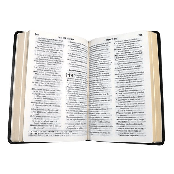 Biblia Reina Valera 1960 – Tapa Imitación piel negra, Letra 10 Puntos, 14x21 cm