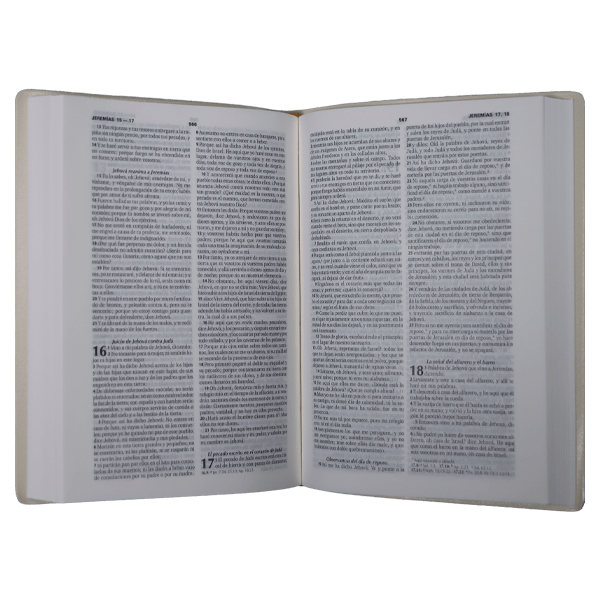 Biblia Reina Valera 1960 – Tapa Vinil color Vino, Letra 8 Puntos