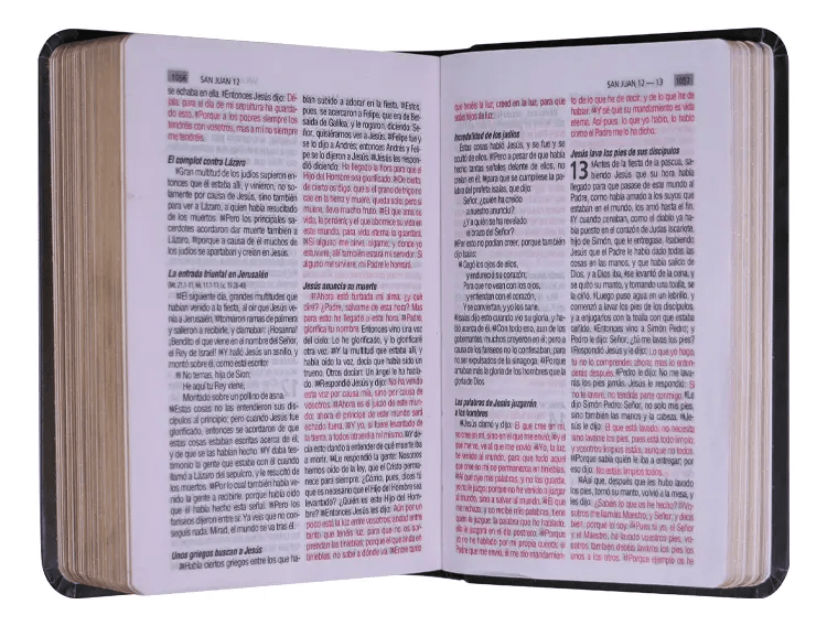 Biblia Reina Valera 1960 – Tapa Vinilo Flores Moradas, Palabras de Jesús en Rojo, 7 x 11 cm, Letra 7 Puntos