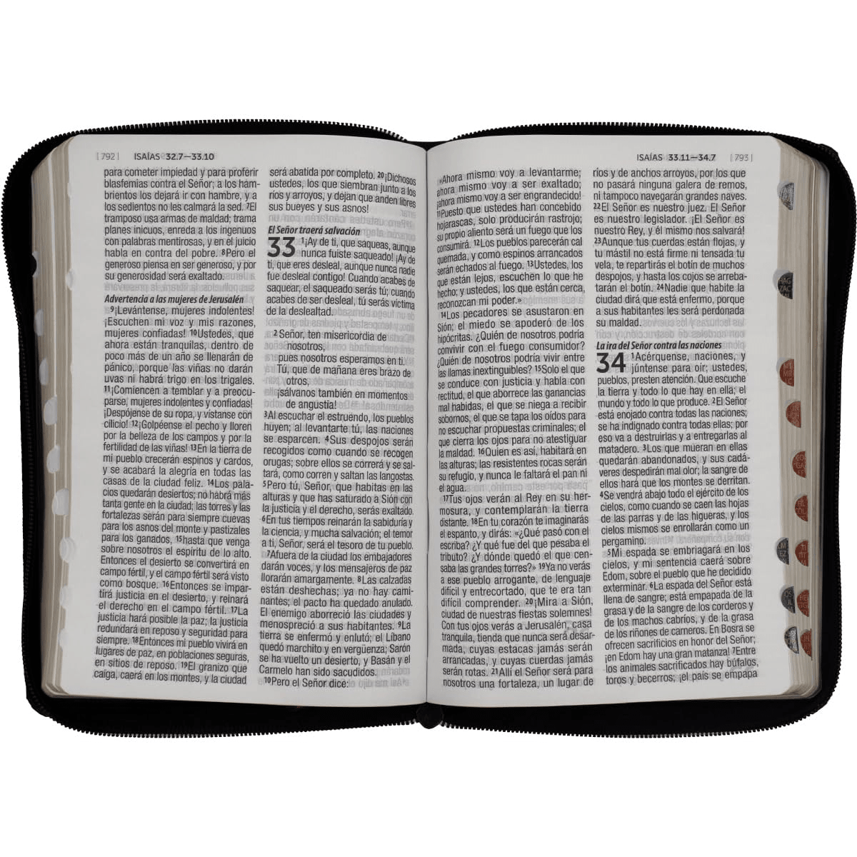 Biblia Reina Valera Contemporánea – Tapa Imitación Piel, con Cierre, Concordancia, con Índice, 14 x 20 cm, Letra 12 Puntos