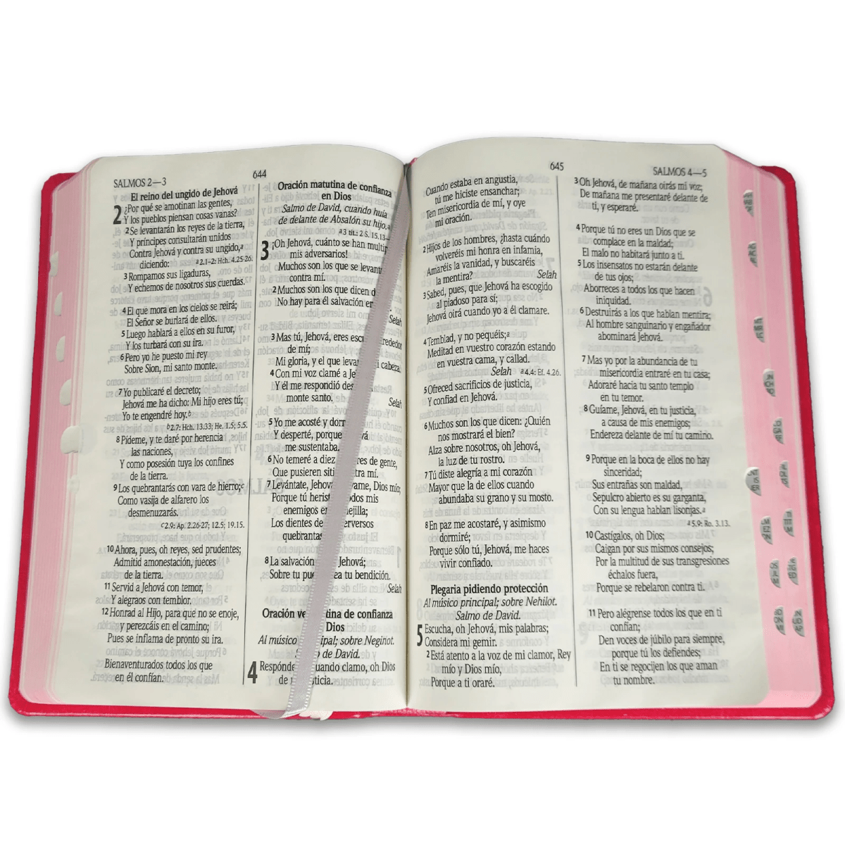 Biblia Reina Valera 1960 – Tapa Imitación Piel Mariposa Rosa, con Cierre, Concordancia, Palabras de Jesús en Rojo, con Índice, 14 x 22 cm, Letra 12 Puntos