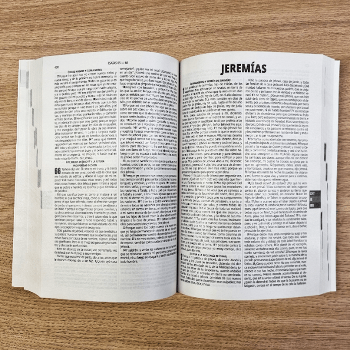 Biblia 1M Económica Reina Valera 1960 – Tapa Cartulina Flores Tropicales, Concordancia, Palabras de Jesús en Rojo, 14 x 21 cm, Letra 9 Puntos