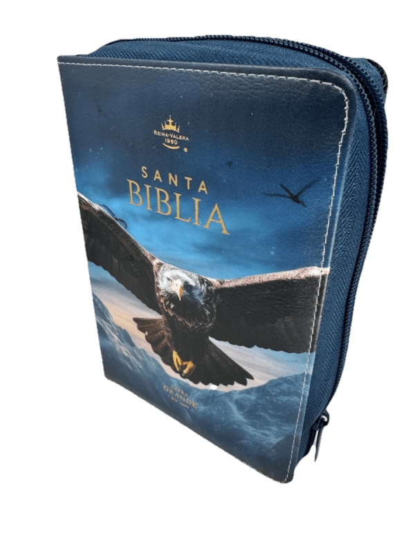 Biblia Reina Valera 1960 045Czti L 10P 13X18 Pjr Aguila China 200 8,70 1739,40