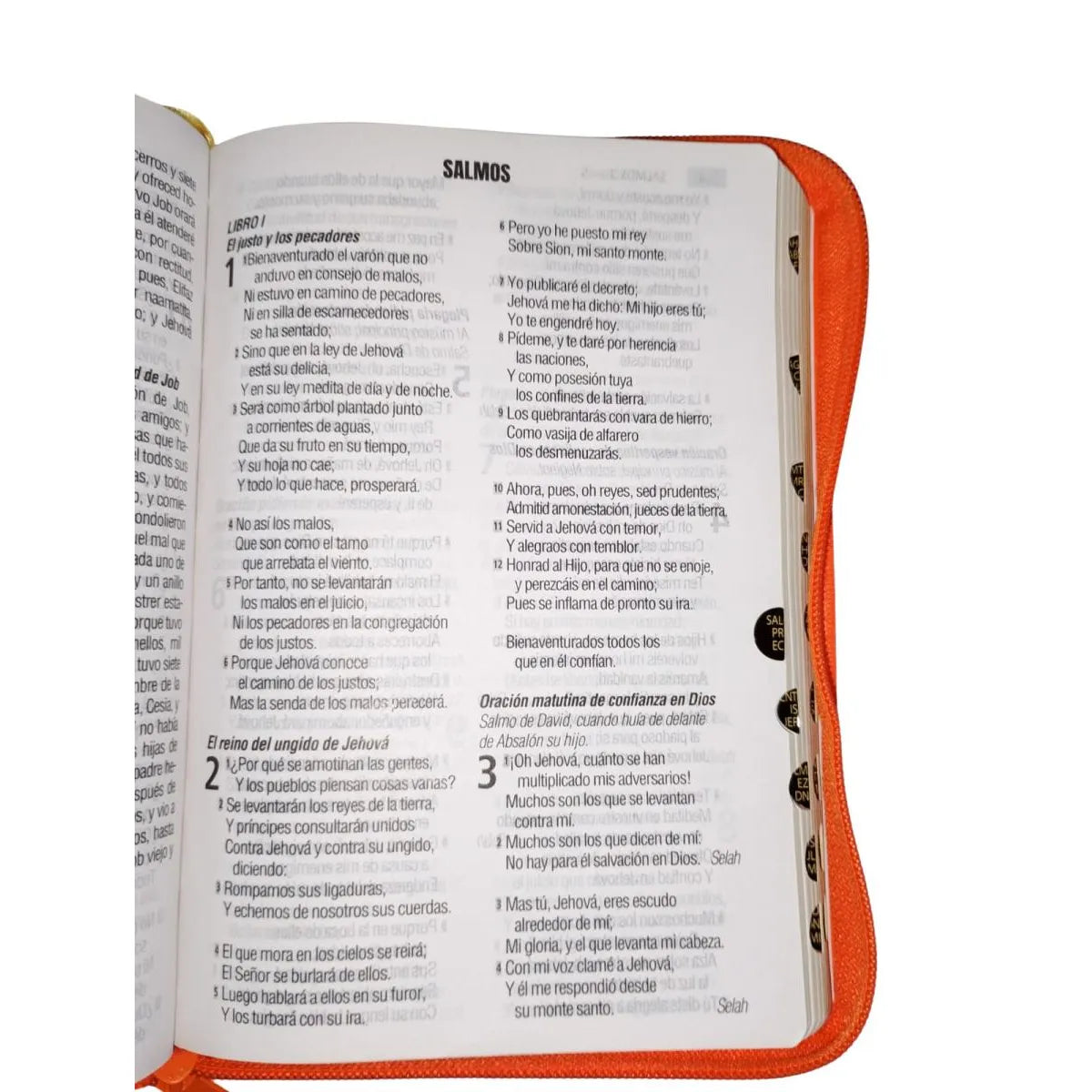 Biblia Reina Valera 1960 Letra 12p PJR cierre índice Covertex Naranja