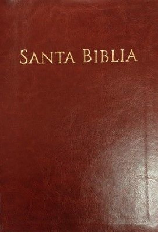 Biblia Reina Valera 1960 Letra Grande Cafe con referencias