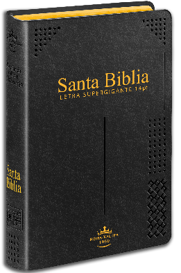 Biblia Reina Valera 1960 Letra Gigante Negro 14 Puntos