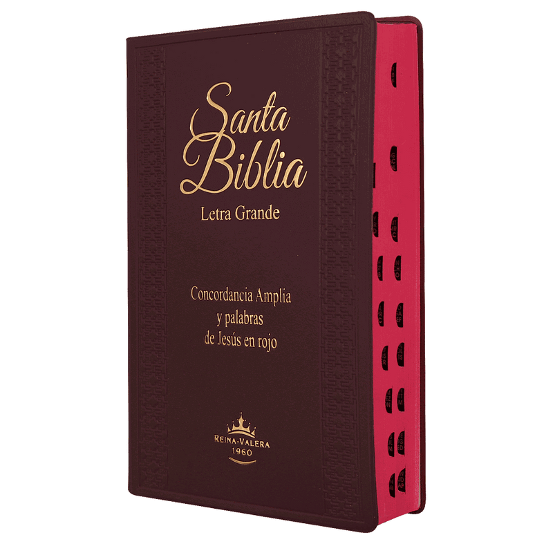 Biblia Reina Valera 1960 Letra Grande Bordo Flexible