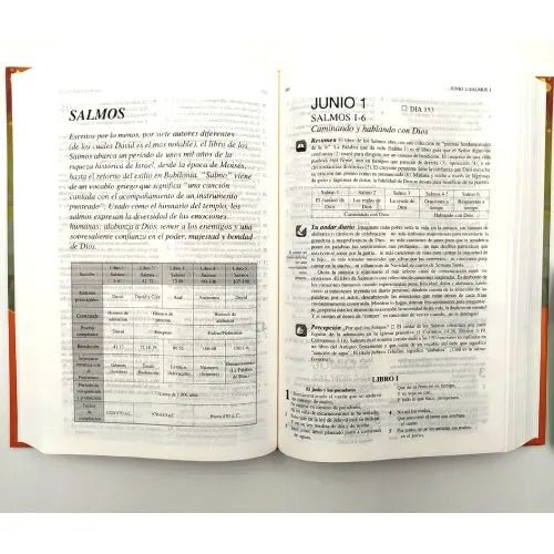 Biblia Tu Andar Diario Juvenil - Unilit