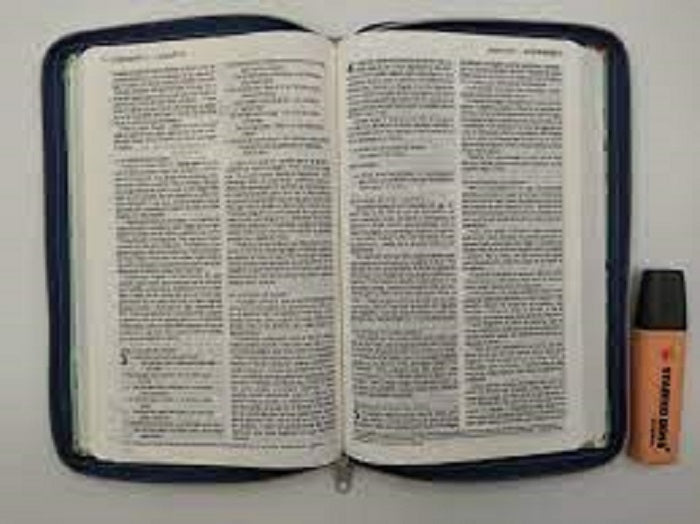 Biblia Nueva Traducción Viviente Cierre Imit Cuero Hojas