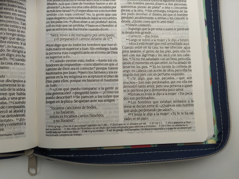 Biblia Nueva Traducción Viviente Cierre Imit Cuero Hojas