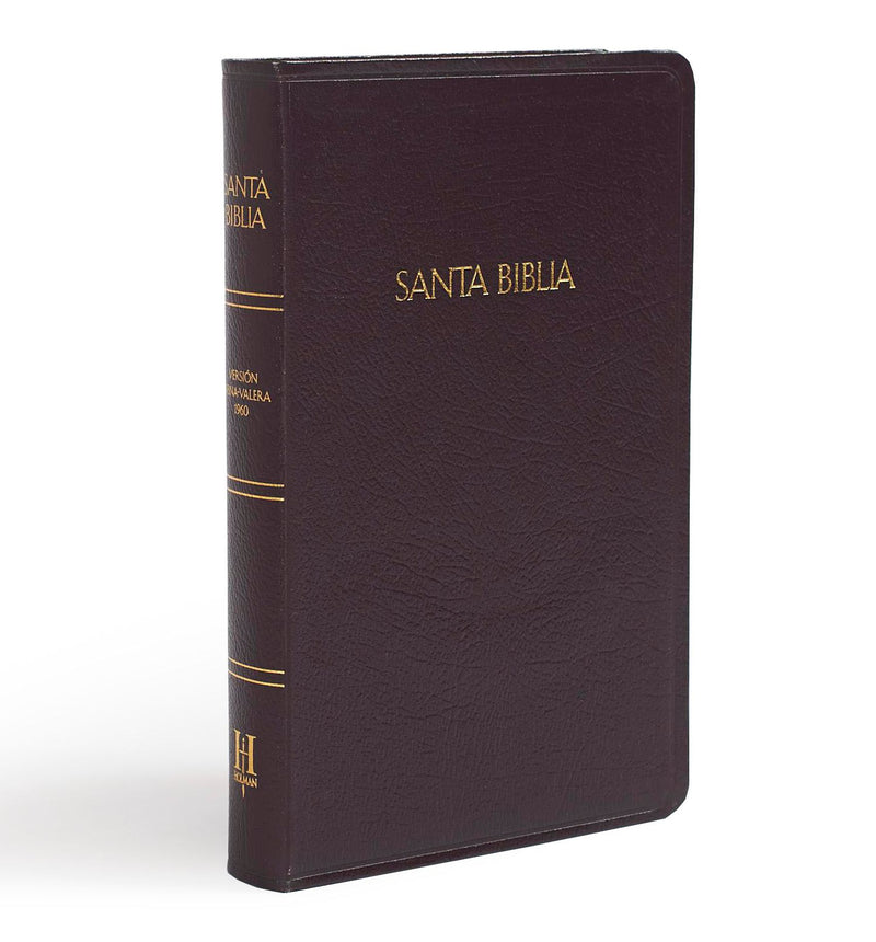 Biblia Reina Valera 1960 Edición Especial con referencias Cafe