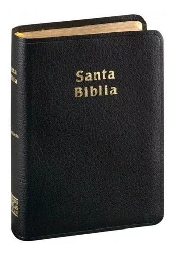 Biblia Reina Valera 1960 Mediana Concordancia Color Negro