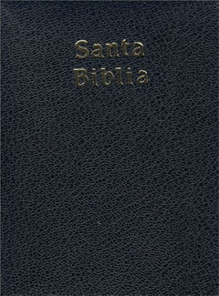 Biblia Reina Valera 1960 12 x 17 cm Bordo - Sbu
