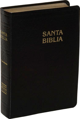 Biblia Reina Valera 1960 Concordancia Negro