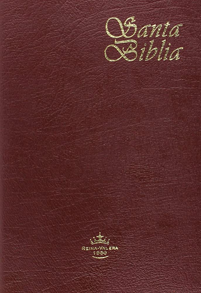 Biblia Reina Valera 1960 Piel Legítima Indice Bordo 14 x 21 cm - Sbu