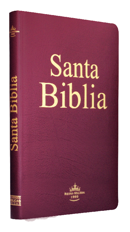 Biblia Grande Económica Covertex Reina Valera 1960