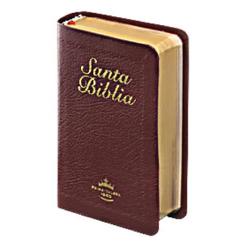 Biblia Reina Valera 1960 Bolsillo Bordo - Sbu