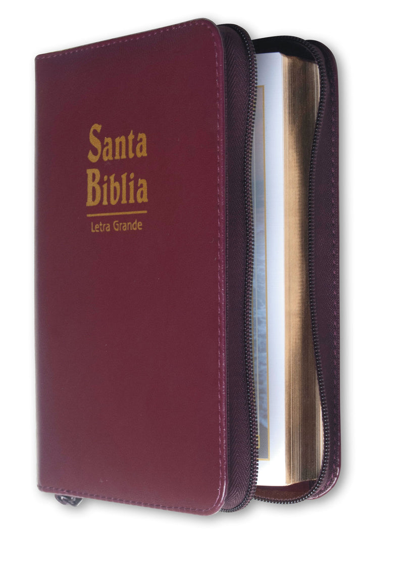 Biblia Reina Valera 1960 Letra Mayor Cierre PJR Bordo