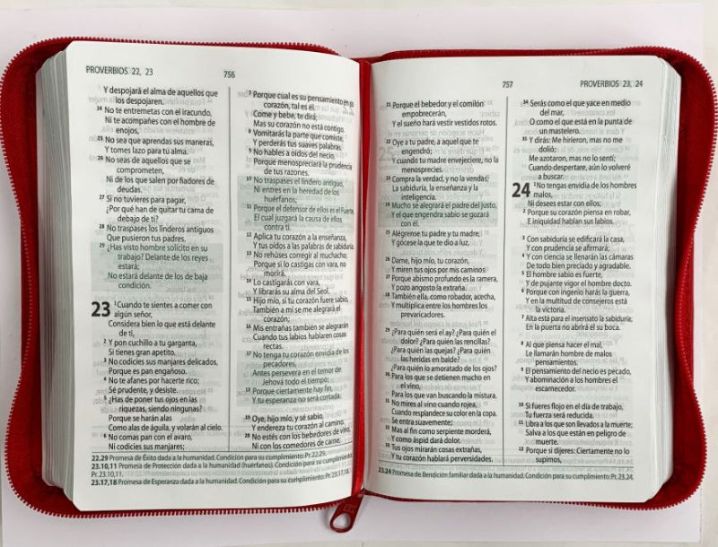 Biblia Reina Valera 1960 Cierre Concordancia Palabras De Esperanza Rojo Canto Plateado 12x 17 cm - Sbu