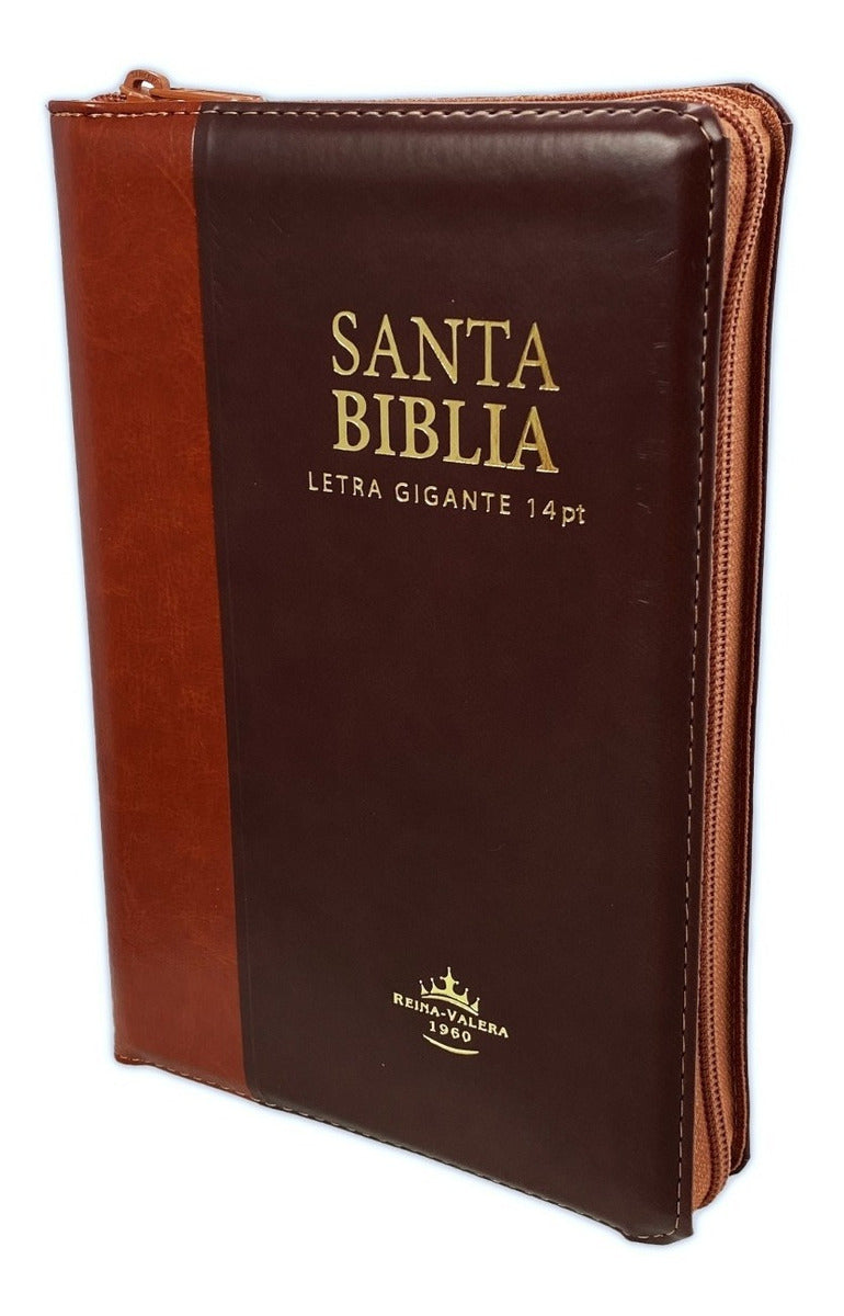 Biblia Reina Valera 1960 Letra Grande Pjr Indice Marron
