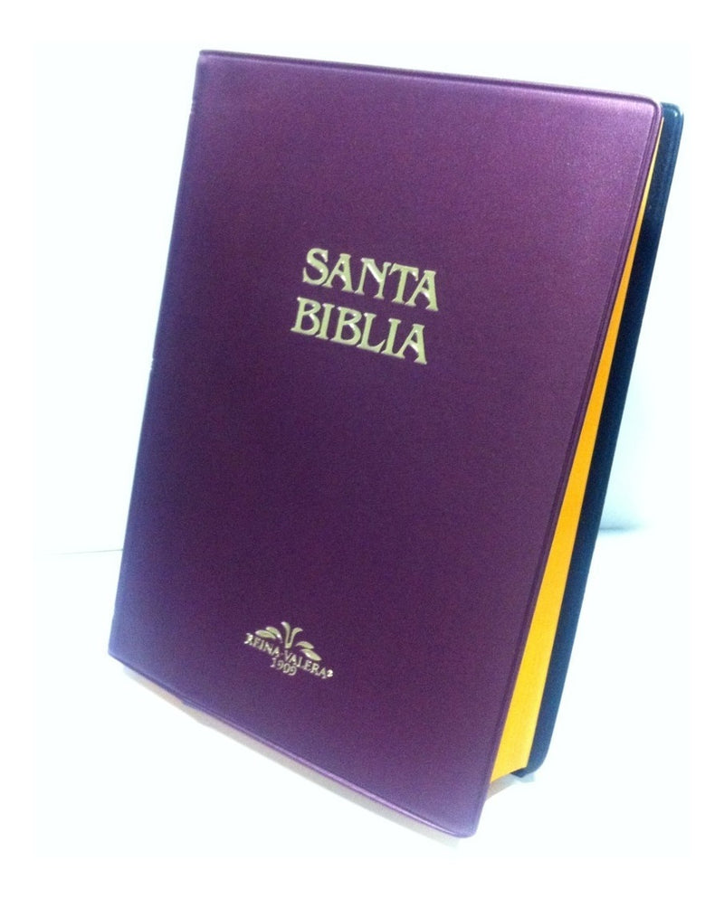 Biblia Reina Valera 1909 Tapa Blanda Bordó