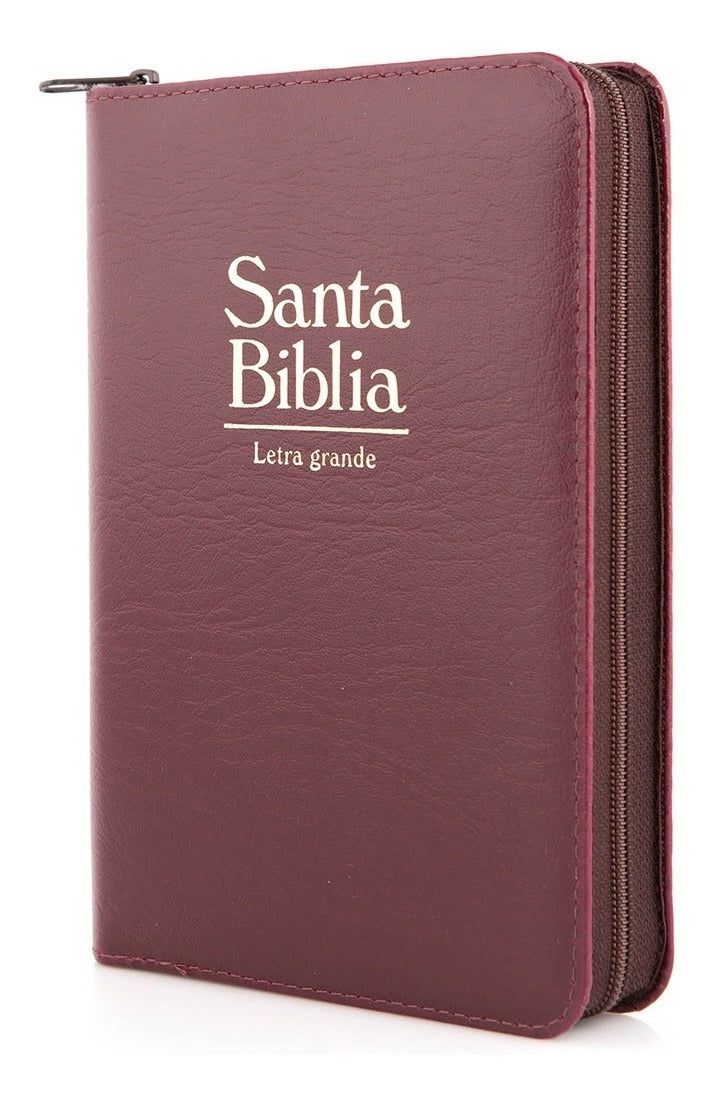 Biblia Reina Valera 1960 Letra Grande Cierre Canto Amarillo
