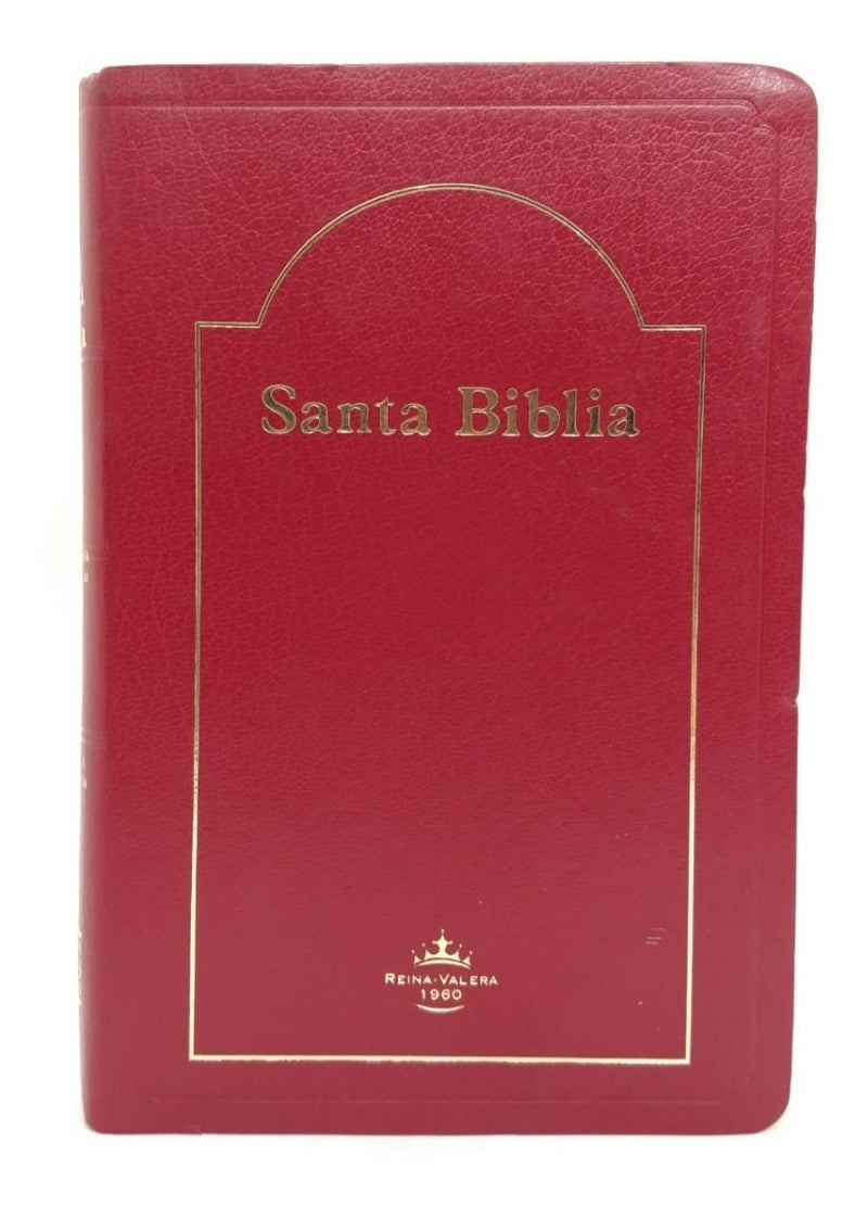 Biblia Reina Valera 1960 Piel Bordó Clásica Tf Concordancia