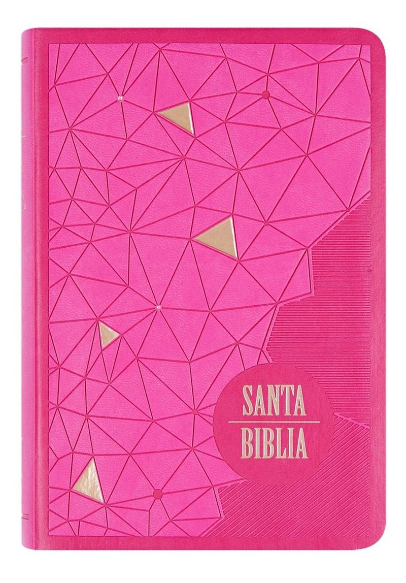 Biblia Letra Gigante Color Fucsia Tr Reina Valera 1960