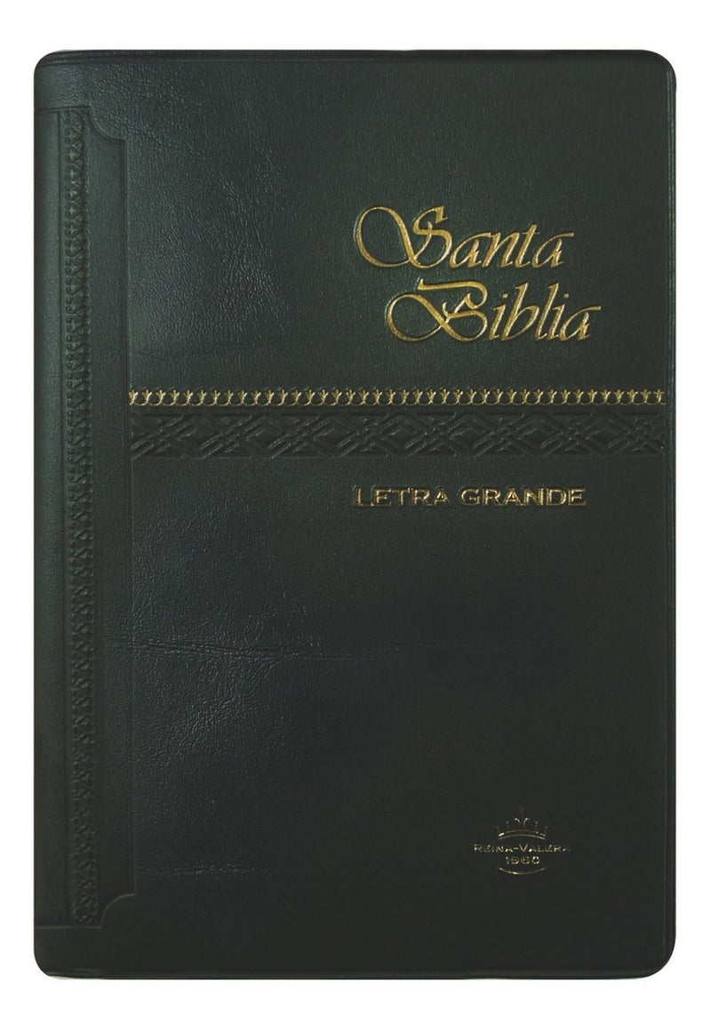 Biblia Mediana Letra Mayor Negra Reina Valera 1960