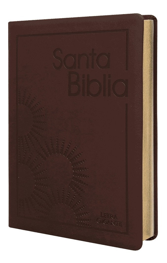 Biblia Reina Valera 1960 Letra Gigante Pjr Bordo Concordancia