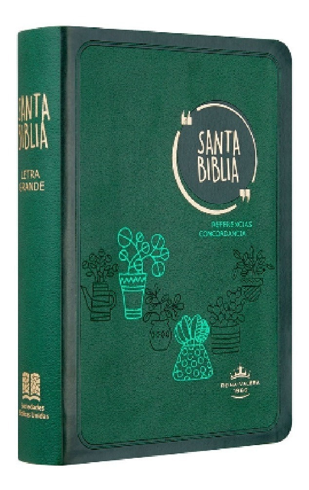 Biblia Reina Valera 1960 Letra Mayor Conc Verde Canto Plata
