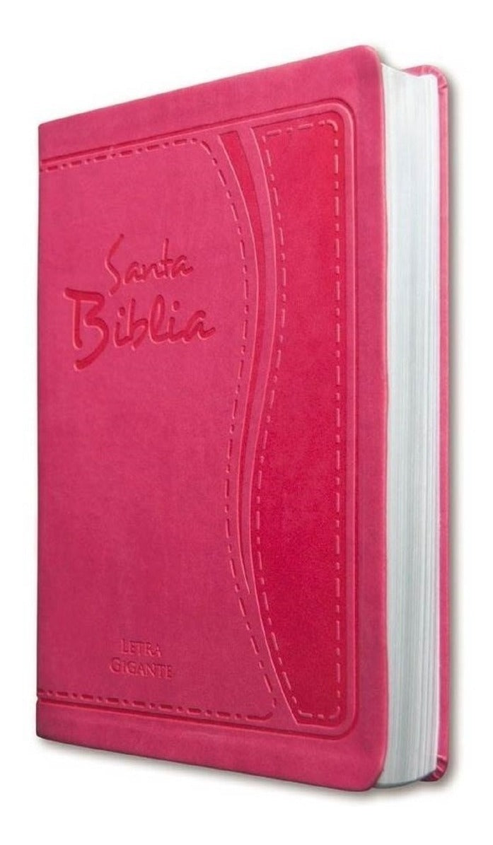 Biblia Letra Gigante Tapa Blanda Rosa Reina Valera 1960