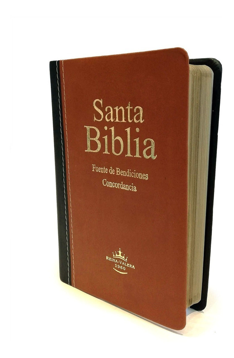 Biblia Mediana Fuente De Bendiciones Reina Valera 1960
