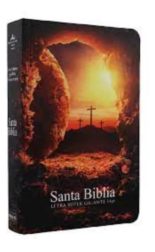 Biblia Reina Valera 1960 Letra Grande Piedra Removida 14 puntos de Letra Tapa Rústica