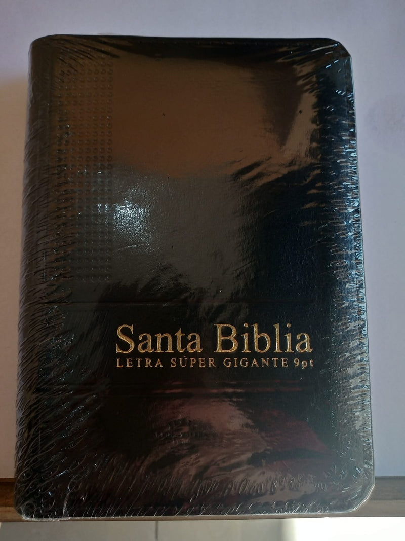 Biblia Reina Valera 1960 Letra Grande Indice Negro Vinil 9 puntos 10 x 14 cm