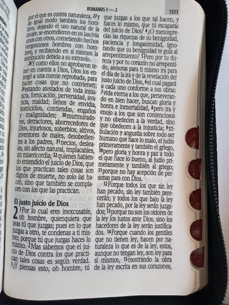 Biblia Reina Valera 1960 Letra Grande Indice Negro Vinil 9 puntos 10 x 14 cm